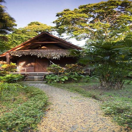 Azania Bungalows Puerto Viejo de Talamanca Bagian luar foto