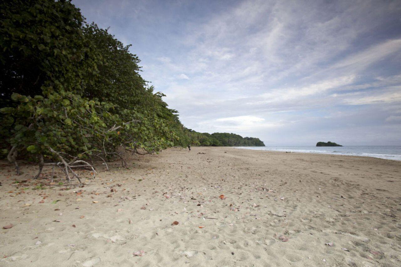 Azania Bungalows Puerto Viejo de Talamanca Bagian luar foto