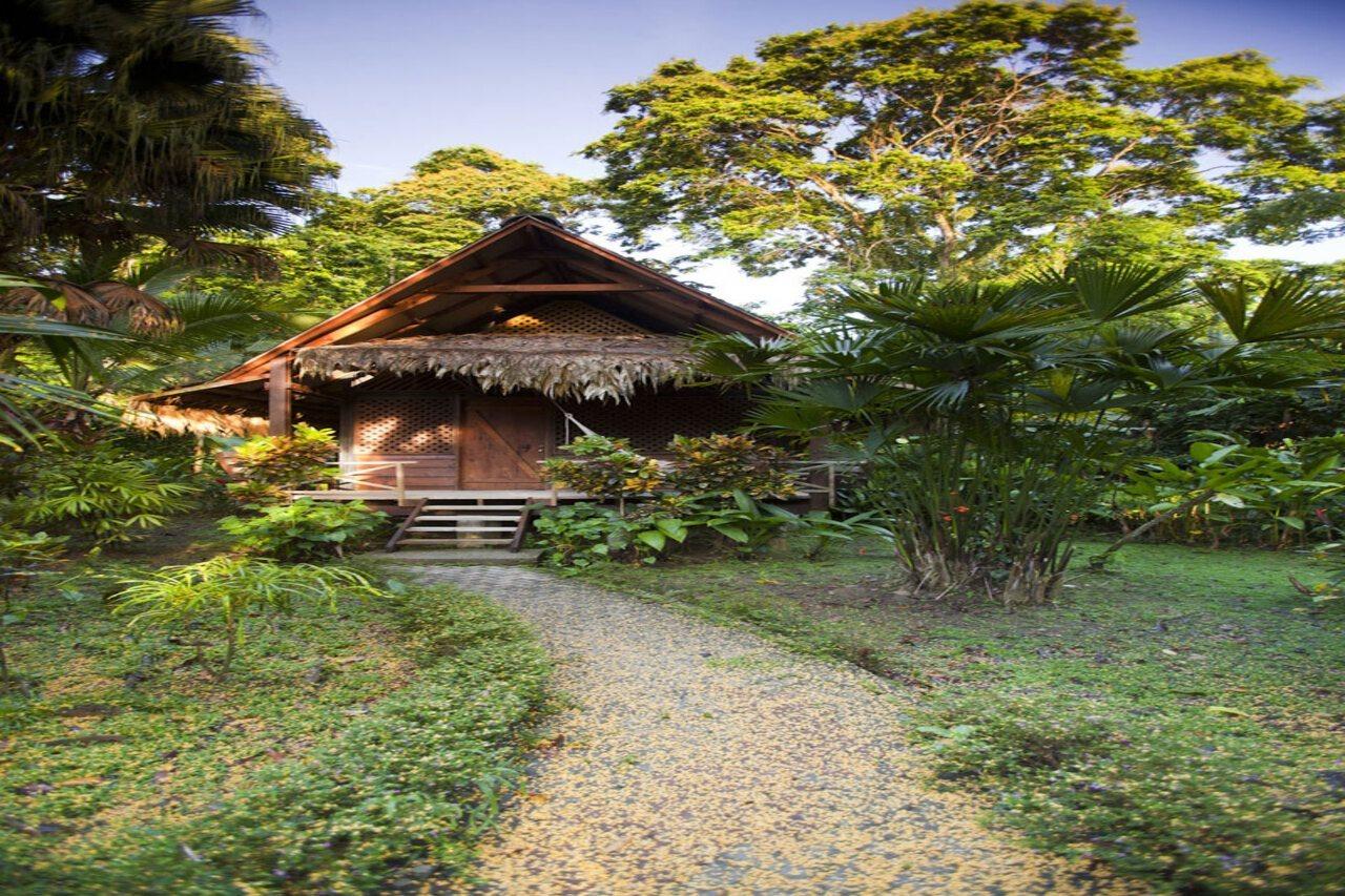 Azania Bungalows Puerto Viejo de Talamanca Bagian luar foto