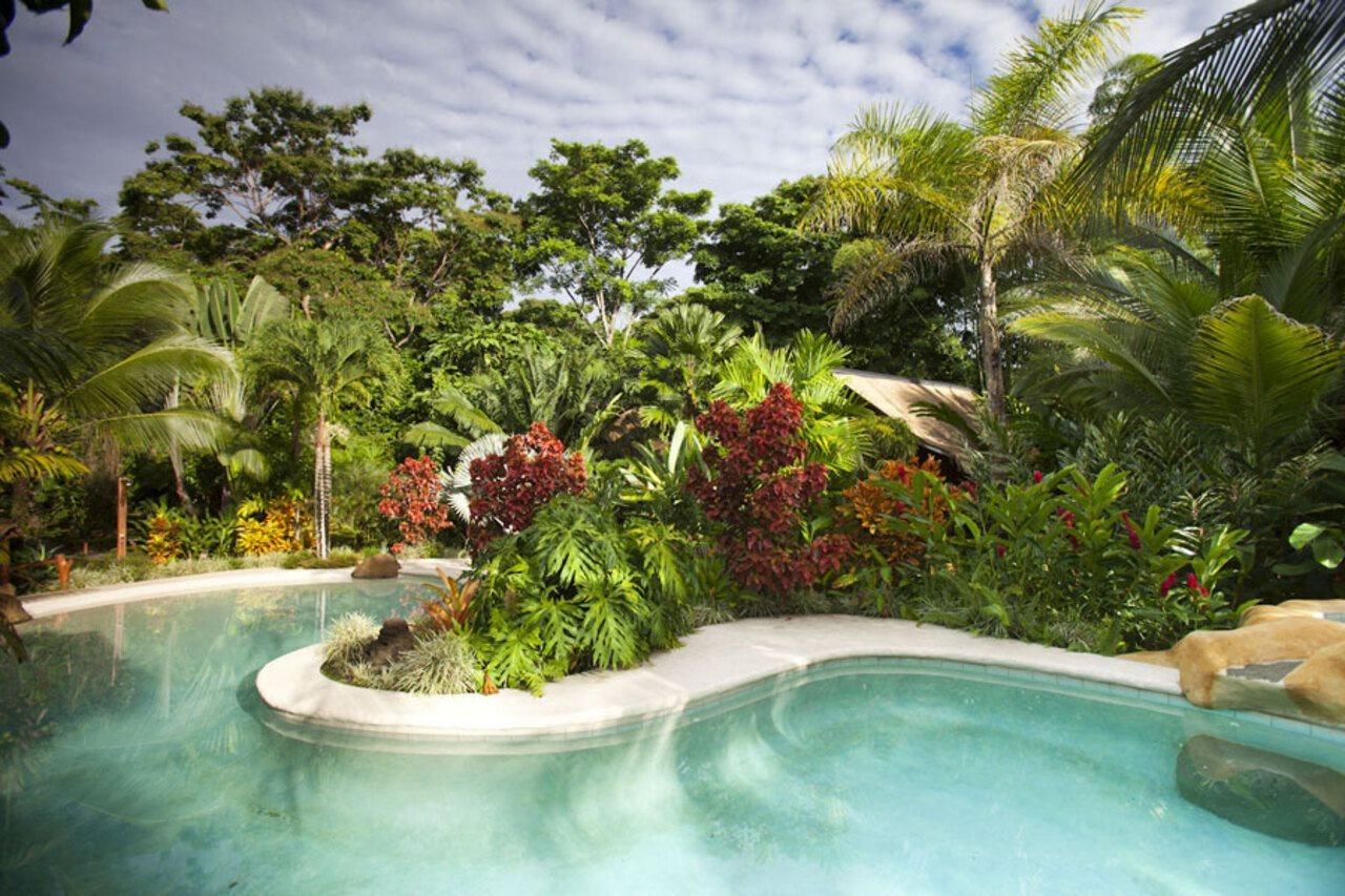 Azania Bungalows Puerto Viejo de Talamanca Bagian luar foto