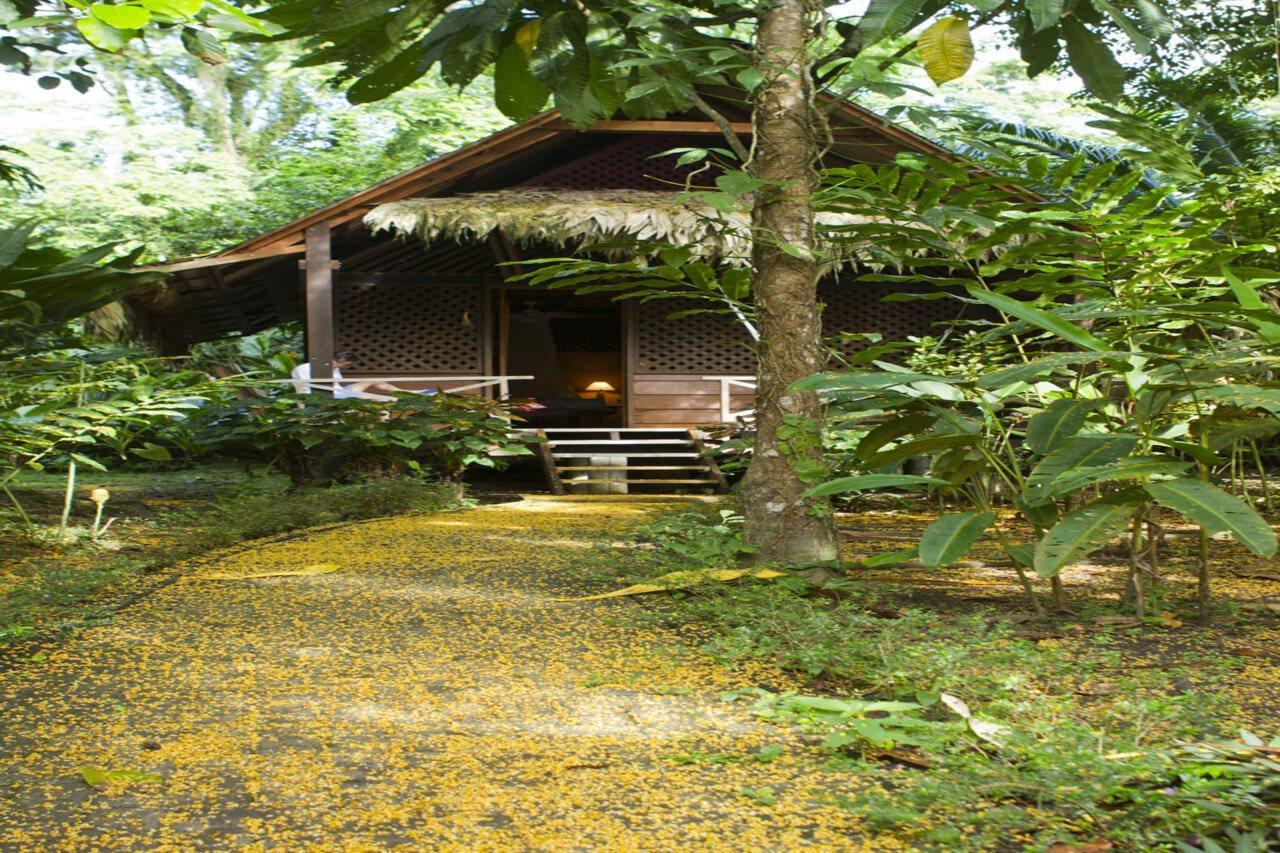 Azania Bungalows Puerto Viejo de Talamanca Bagian luar foto