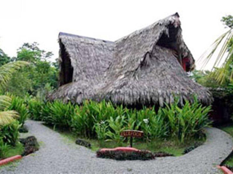Azania Bungalows Puerto Viejo de Talamanca Bagian luar foto